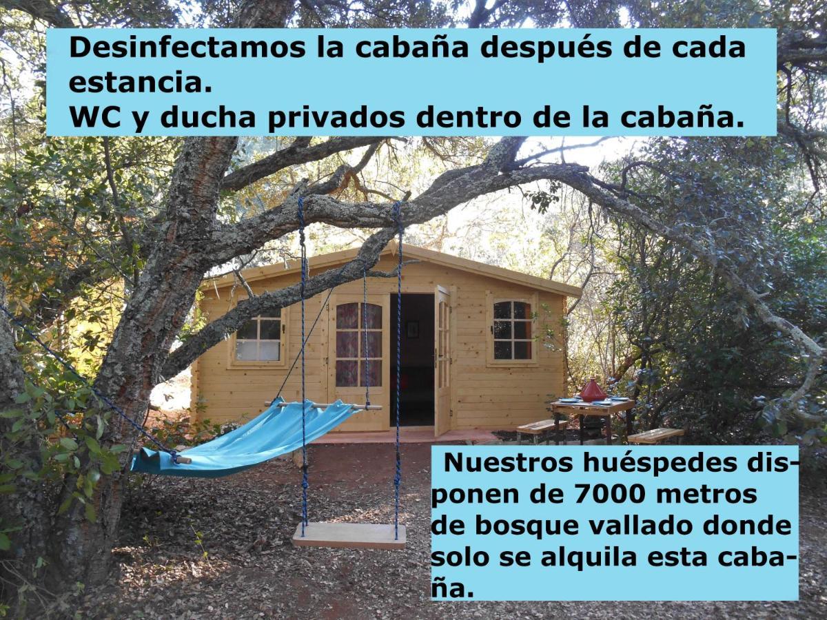 La Cabana Del Alcornoque Córdoba Exterior foto